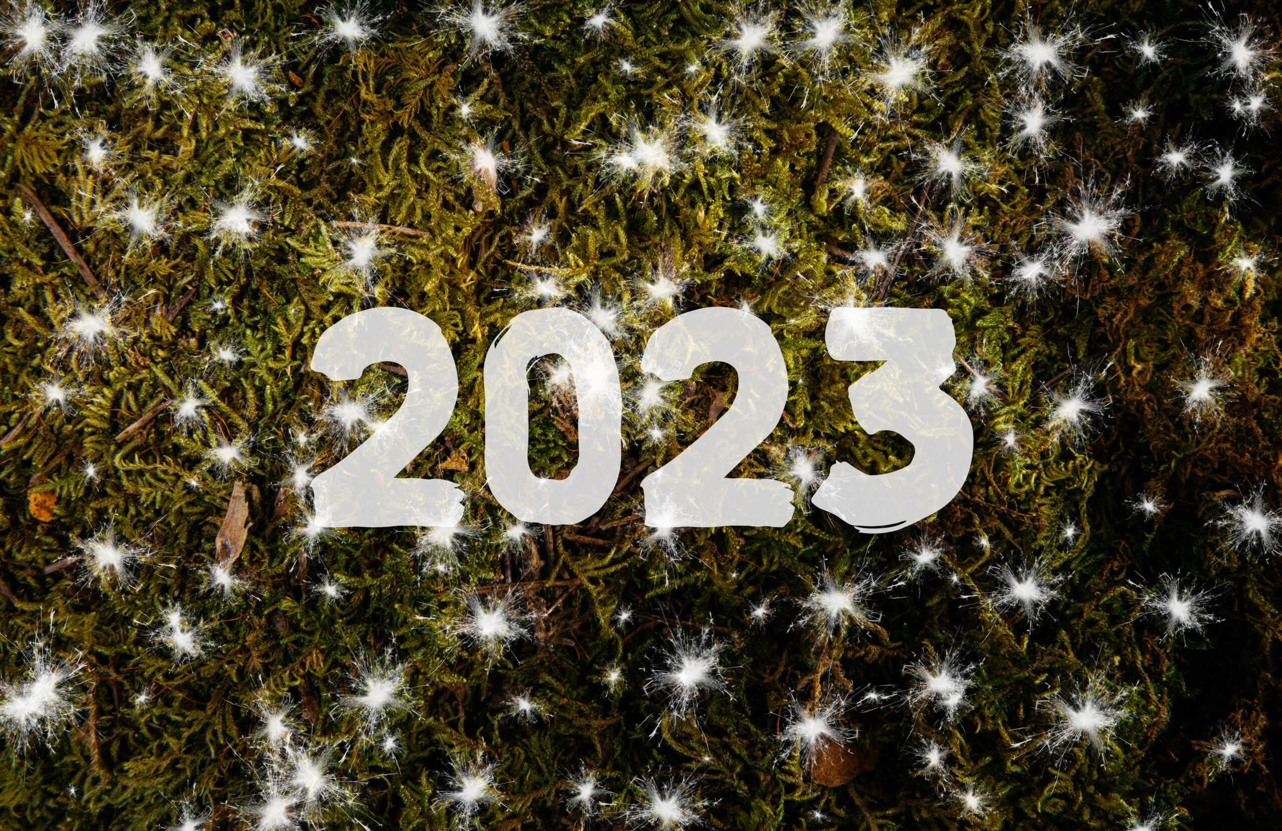 Featured image for “2023: Eerste stappen in duurzaamheid”